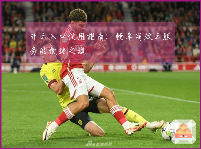 开云入口使用指南：畅享高效云服务的便捷之道